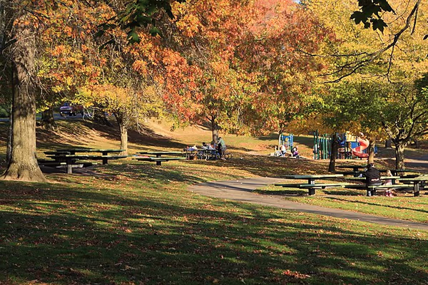 Gabriel Park Off Leash Area